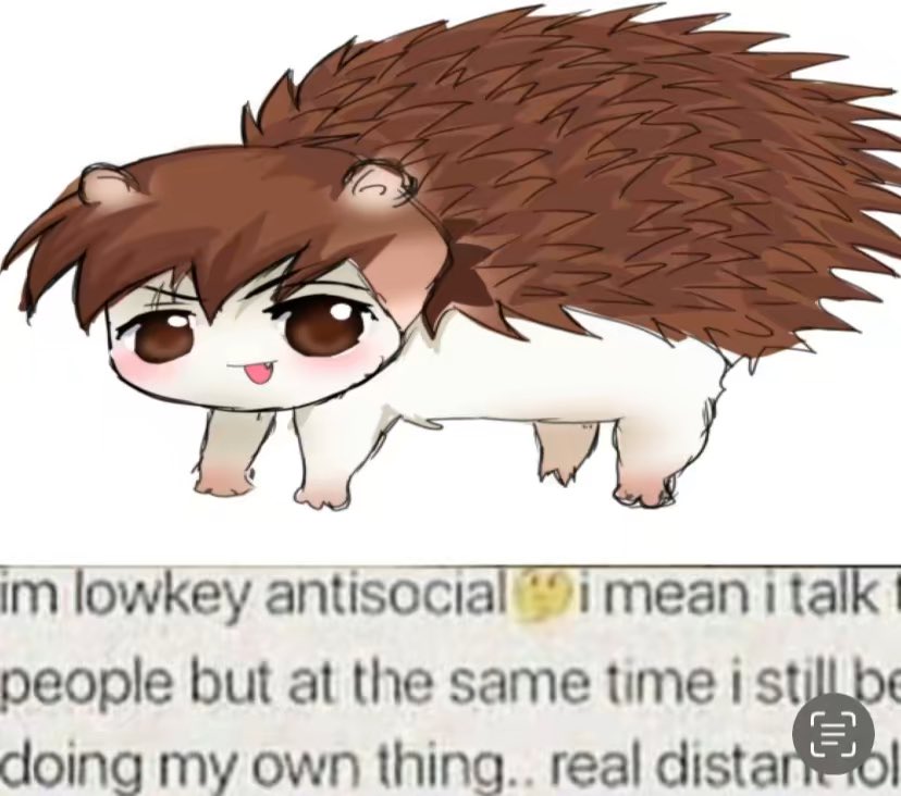 smugfry's tweet photo. Jimmy I’m a fucking hedgehog #Bullytwt https://t.co/ExlZvkSslc