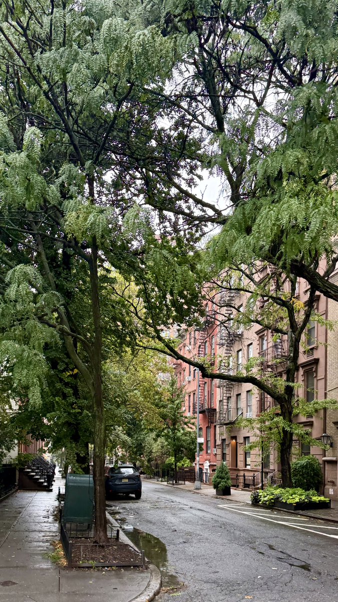 H95347783's tweet photo. نیویورک بارونی ⛈️🏙️ https://t.co/5GSVPmSqet