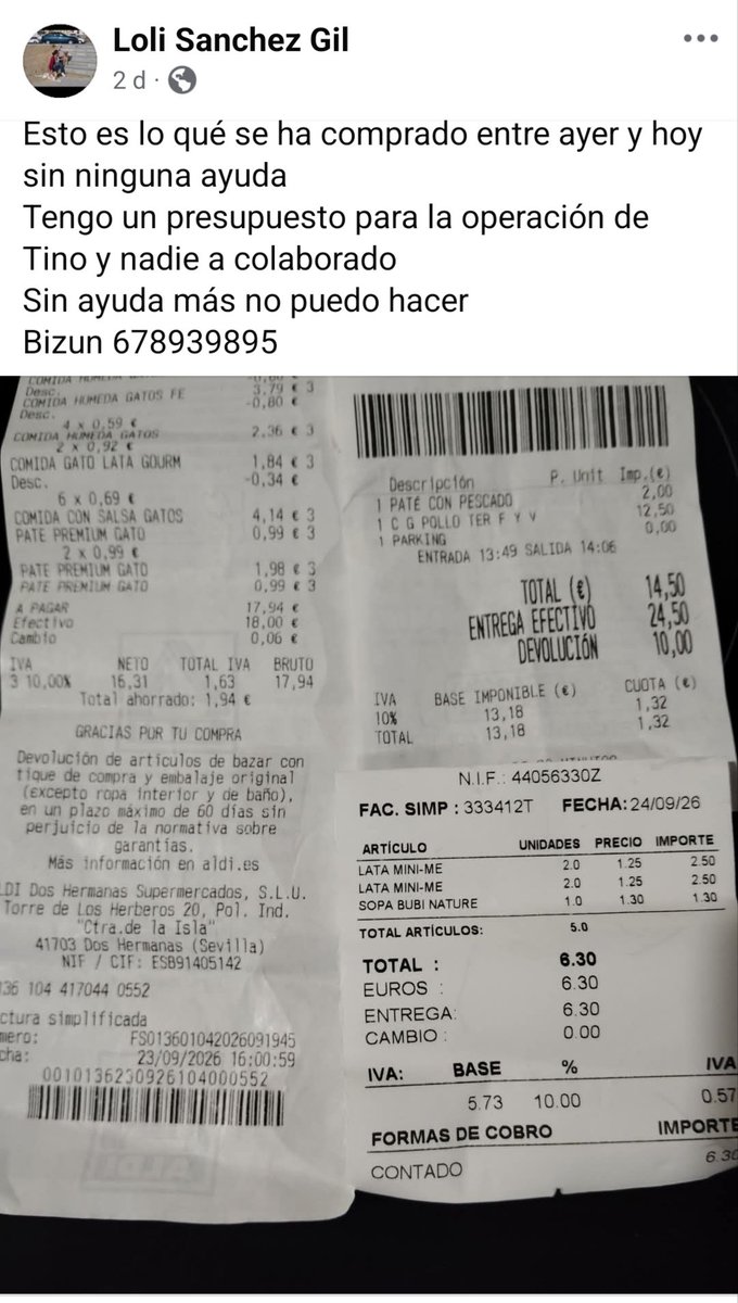 CefiroyCoco's tweet photo. Loli es cuidadora d colonias en #Cadiz
Saca adelante a sus michis haciendo mil malabarismos: comida, gastos veterinarios...🥺
Ahora está pendiente la operación d Tino. Siempre pone tickets y facturas en Facebook 
A ver si podemos echarle una manita🙏🏼 https://t.co/96A4PGI4Qt