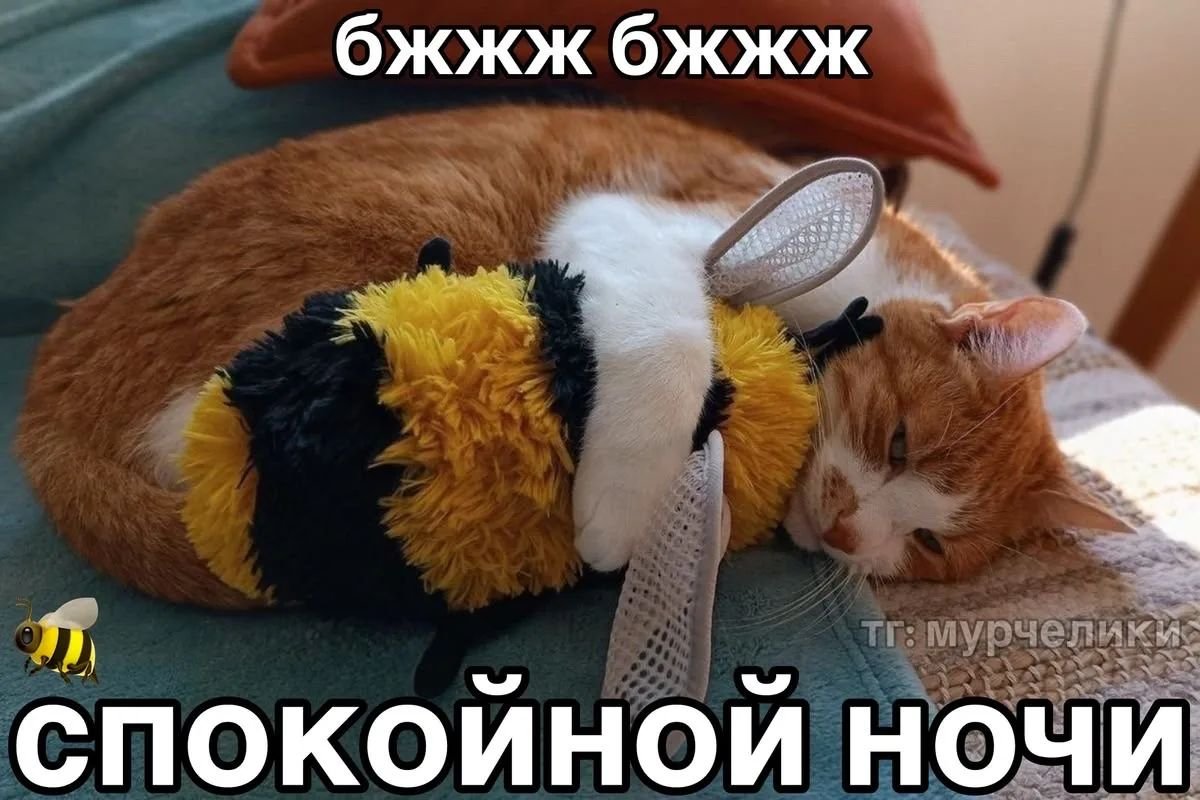 Ol1korn's tweet photo. Спать хочу, голова бобо🐝 https://t.co/eBYBX86eZM