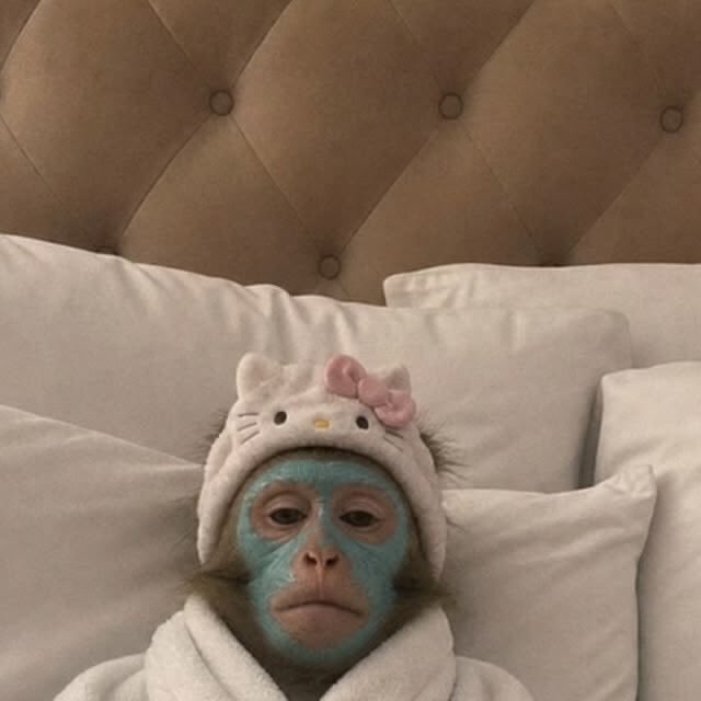 Deerstarr_'s tweet photo. @Victoriazuhv Don't worry, the rights are protected.. and even if they steal ! there is still a mind that thinks &amp; a hand that writes👌 https://t.co/iaqt32YLlN