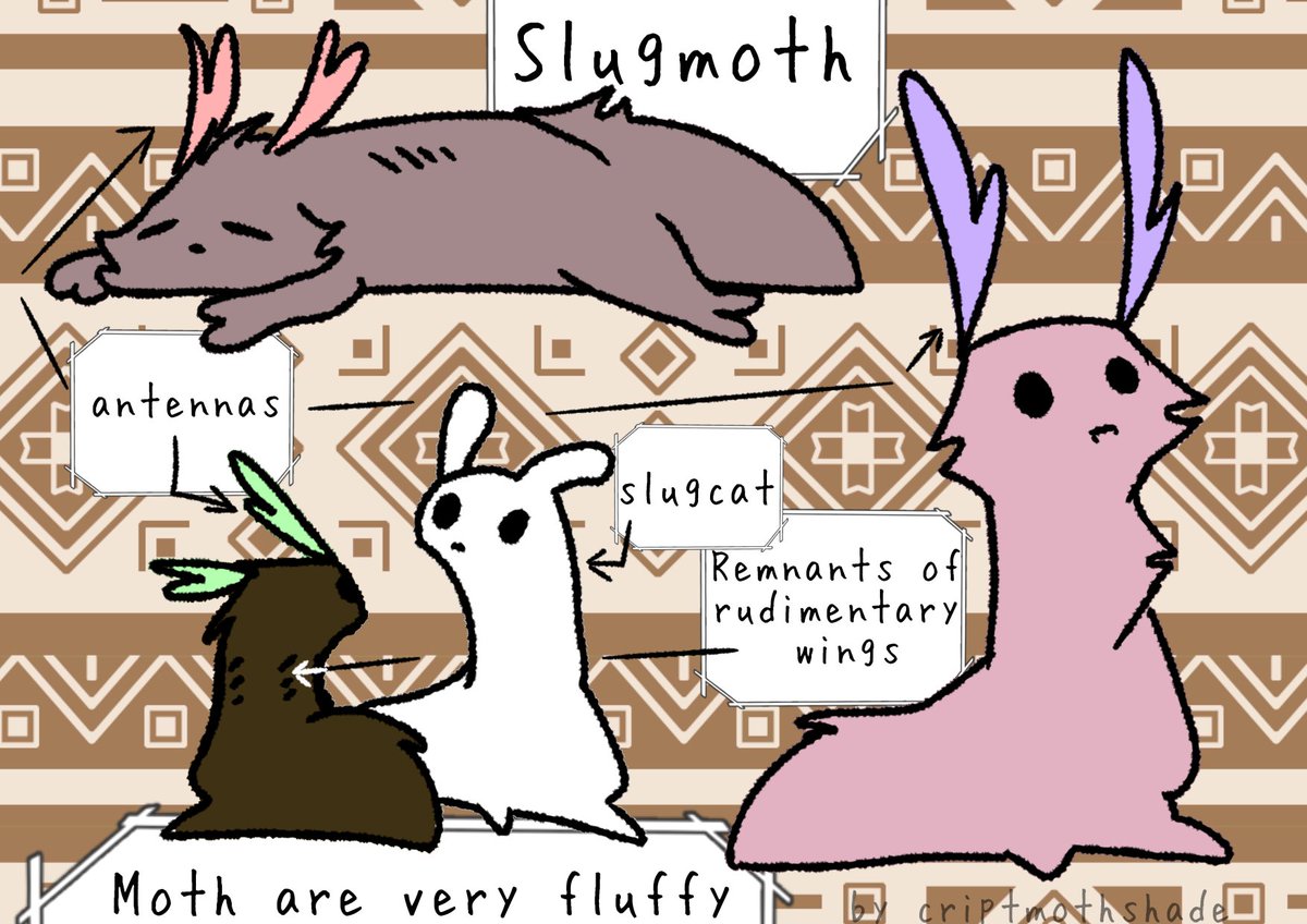 Criptmothshade's tweet photo. SlugMoth — Open Fan-Species!

🦋✨

Antennas instead of ears 📡Very fluffy bodies ☁️Rudimentary wings 🪶

Feel free to make your own OCs, just credit me! 💖

#rainworld #scugsona #slugmoth https://t.co/VIoTc8NbSh