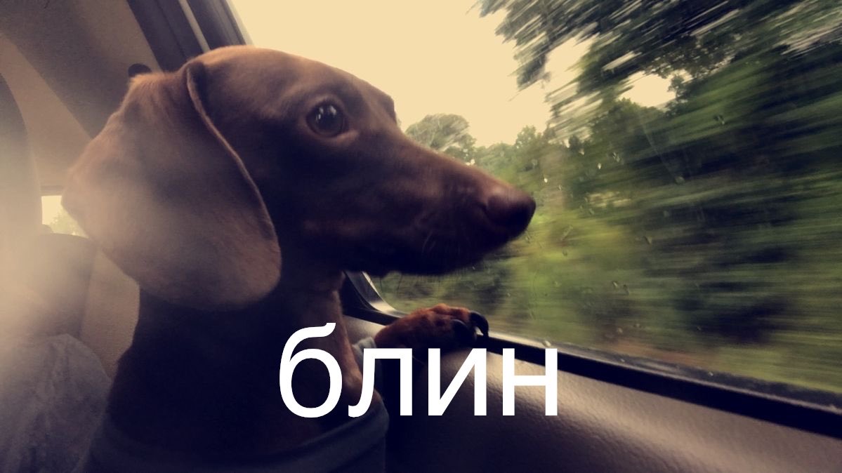 Zirooo93fb's tweet photo. Ну блин я хочу с кем нибудь чатиться пжешка https://t.co/dA5cP2HSX1