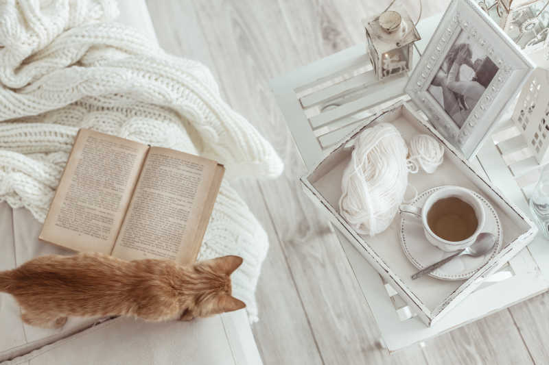 VeronikaMaeco's tweet photo. Mi café matutino junto a la ventana, y el gato dormitando en la alfombra: la mejor manera de empezar el día en casa.， https://t.co/SciSk8tdIk