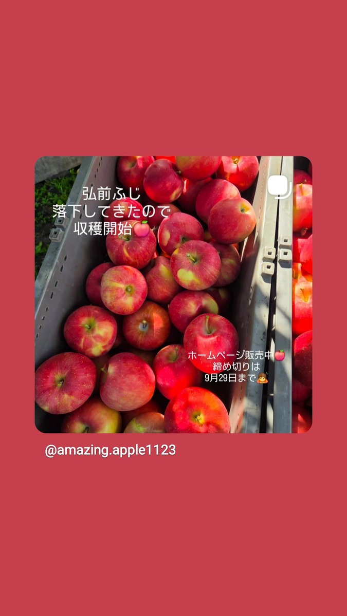 AmazingApp40969's tweet photo. #りんご
#なかた農園
#美味しい
#アメイジングアップル
#ふるさと納税 https://t.co/pJ3ojimW2l