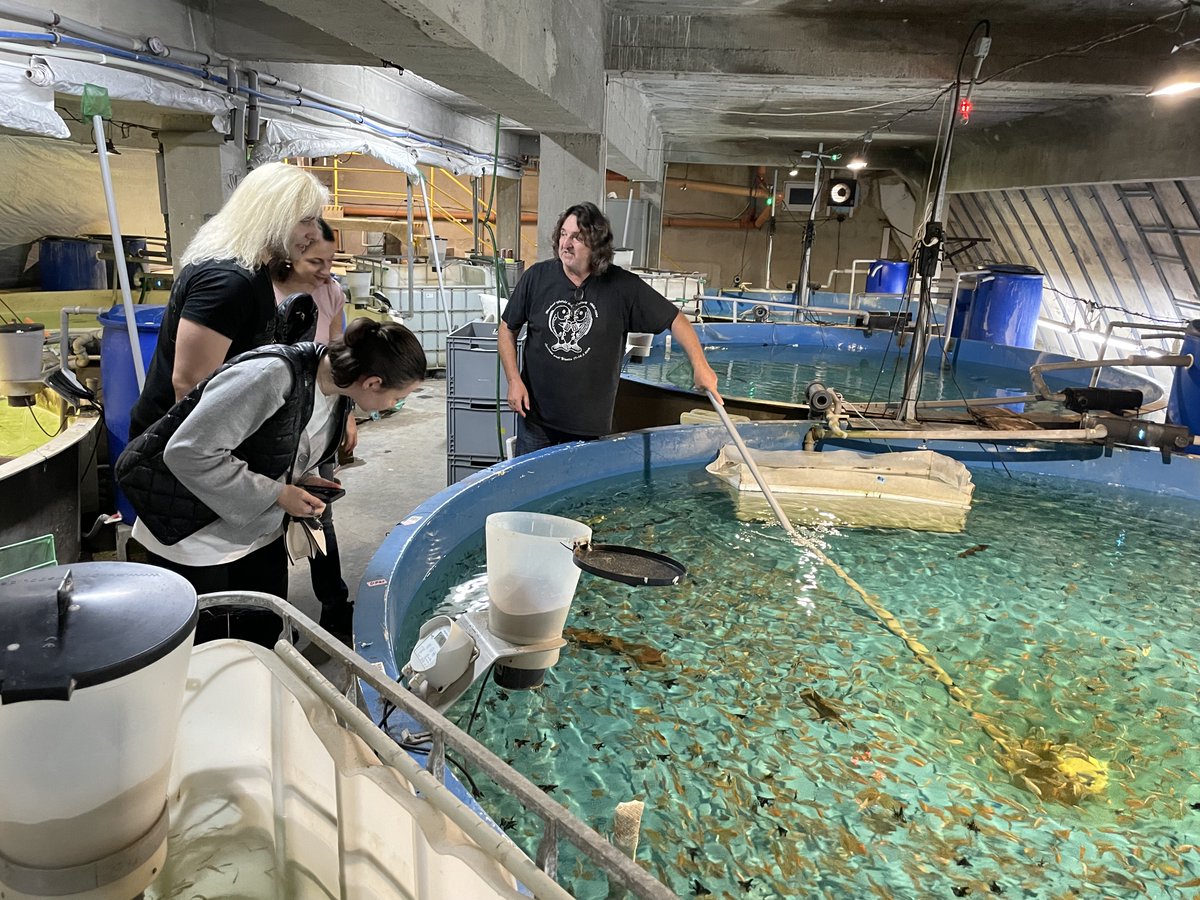 FishProtLab's tweet photo. Great visit to Petra-Aqua in Turčianske Teplice – Europe’s largest aquarium fish farm, run by our friend Petr Posel. An impressive facility full of beautiful fish! 🐠 And good news for the farmer, perhaps less so for a parasitologist 😉 – all fish we examined were parasite-free! https://t.co/ooy7WjNpuC