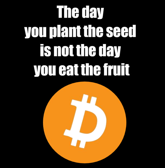 GGhyzmo's tweet photo. STUDY $DOG 
BUY $DOG 
HODL $DOG https://t.co/JCjkckDL5v