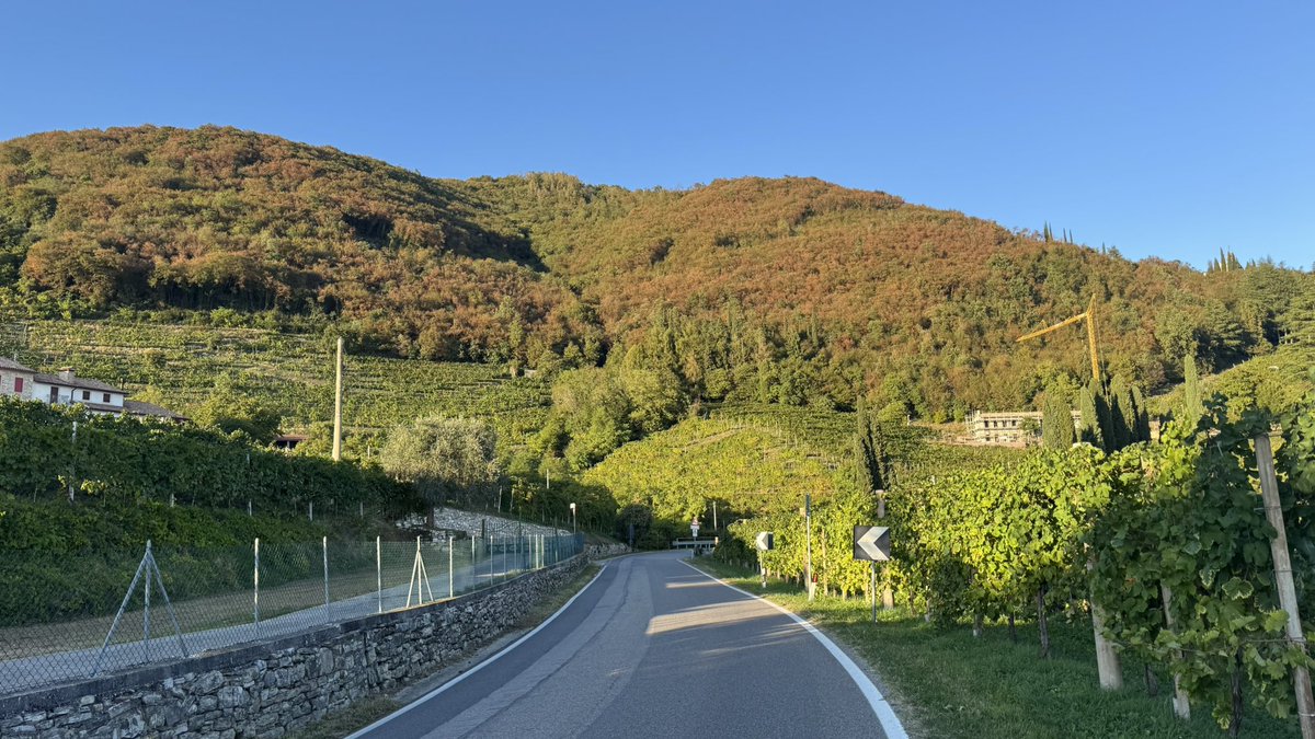 natalia_men's tweet photo. Prosseco and tiramisu after 4h bike in the mountains https://t.co/pe62w3dByo