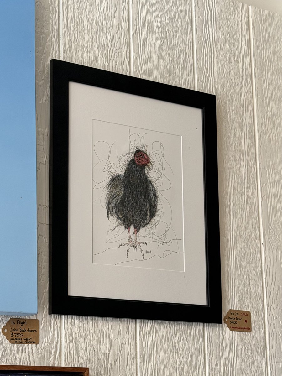 patchworkfemme's tweet photo. went to the turkey vulture festival today :) https://t.co/VPeunI8yxf