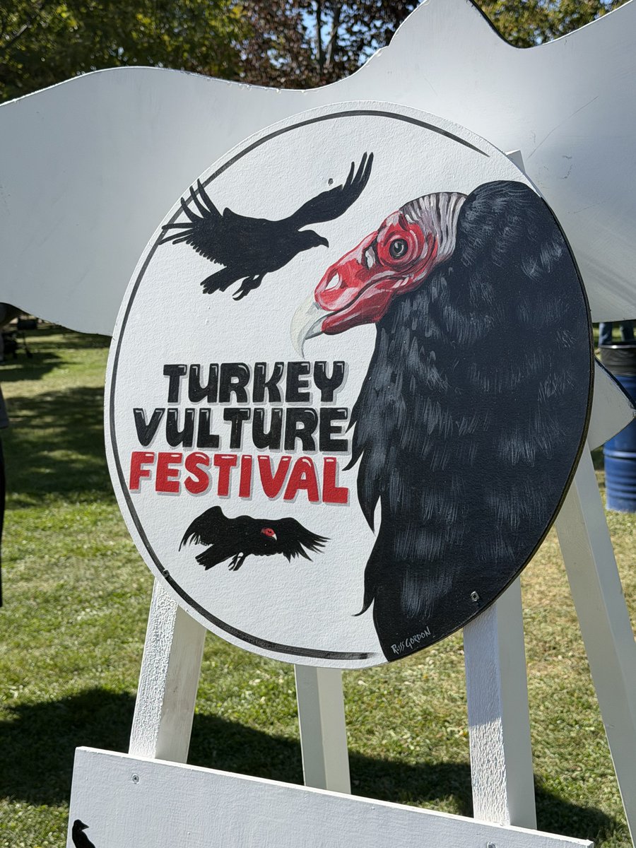 patchworkfemme's tweet photo. went to the turkey vulture festival today :) https://t.co/VPeunI8yxf