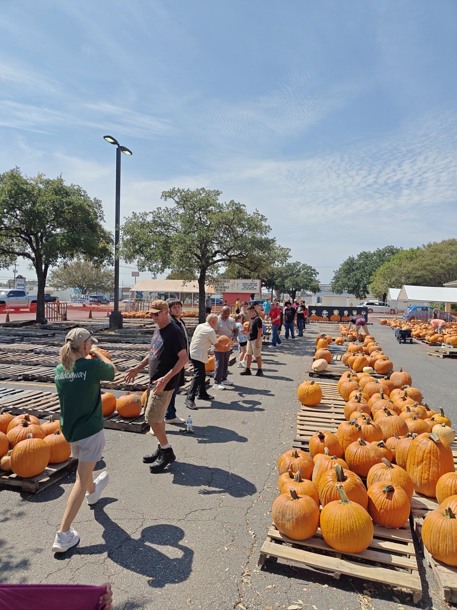 SA_TRWrestling's tweet photo. Another great year at the pumpkin patch. It's a special group of athletes and families here on the Roosevelt Wrestling Team!

@WeAreTRHS
@NeisdAthletics 
@TRRoughRiderFB https://t.co/IMjHN8QQyT