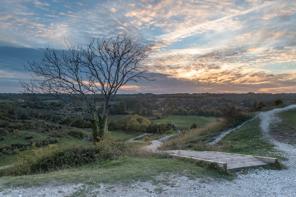 BundayAndy's tweet photo. Happy Monday! I headed up St Catherine’s Hill hoping to catch the Harvest Moon rising, but the clouds had other ideas! Turning west, I was treated to these sunset colours over Winchester instead.
It’s always worth checking the view behind you… 🌅 https://t.co/Z8GWBGmayK
