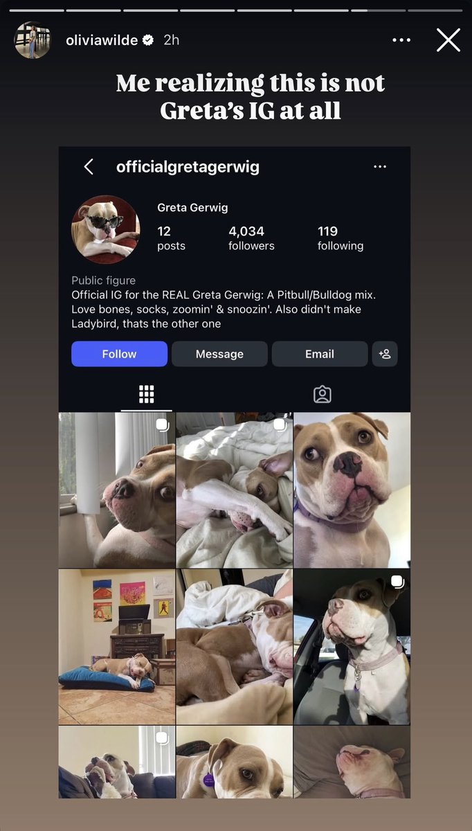 FilmUpdates's tweet photo. Olivia Wilde accidentally tags Greta Gerwig (the pitbull) instead of Greta Gerwig (the director) on Instagram:

“I’ll show myself out.” https://t.co/JyOiy9QwOJ