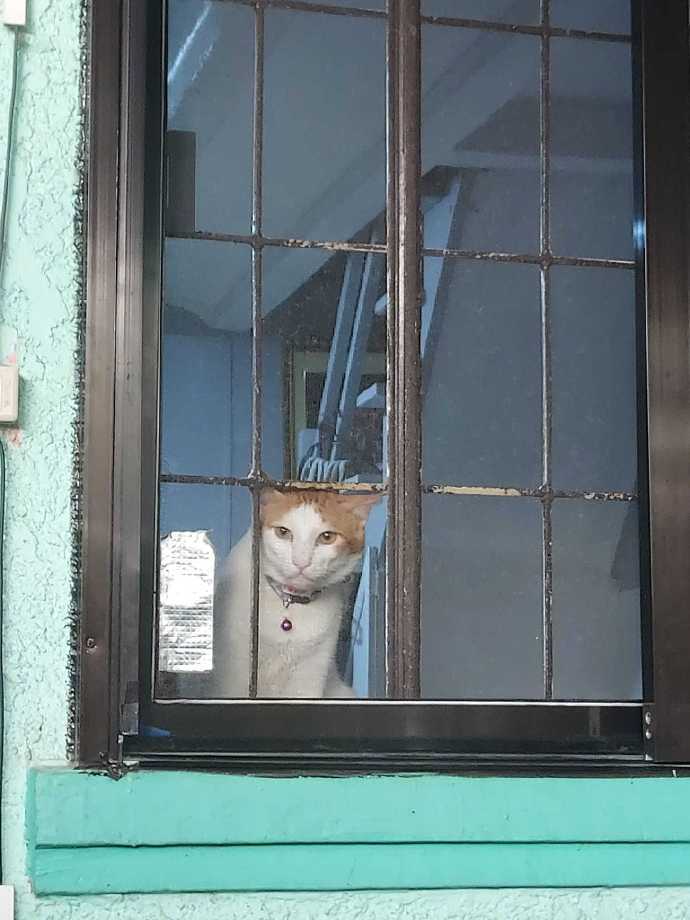 MichaelaHwc7c's tweet photo. Sumérgete en esta melodía que calma el alma, no te pierdas esta experiencia musical única hoy!， https://t.co/lek9rJ3ivr