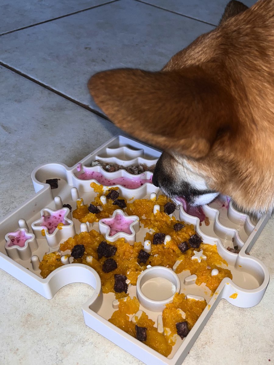 ROYMARTINEZ2574's tweet photo. A dog that works for her meal is a dog ready to rest. No pacing, no begging for seconds—just a content pup with a satisfied mind and belly. Not sure which Eat Collection product suits her? Let’s find the right fit together. https://t.co/t00BamvrbU