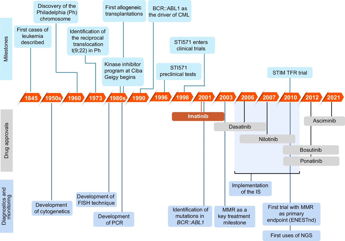 smbenlazar's tweet photo. From fatal disease to functional cure: 25 years of tyrosine kinase inhibition in chronic myeloid leukemia https://t.co/CylMHmnKoI #CML #leusm https://t.co/pyIslZvknd