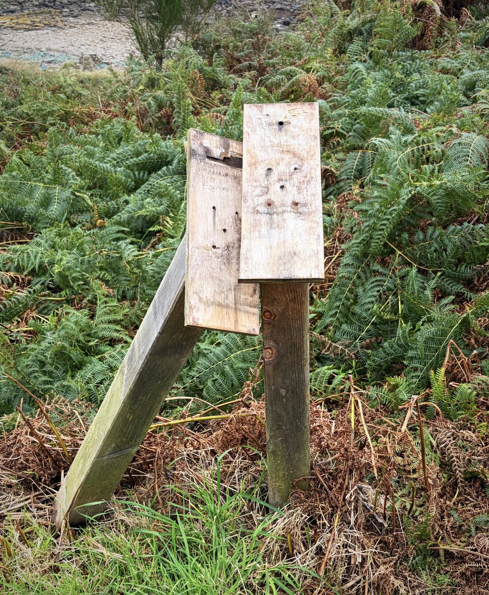 devlin_jp's tweet photo. When two fence posts fall in love. https://t.co/WN1RNFQtdZ