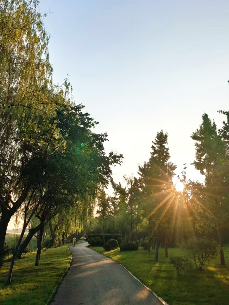 Yukoirdca's tweet photo. Hoy el sol brilla y hace un día perfecto para caminar por el parque! （今天阳光明媚，是去公园散步的绝佳天气！） https://t.co/7e4sGNvuFh