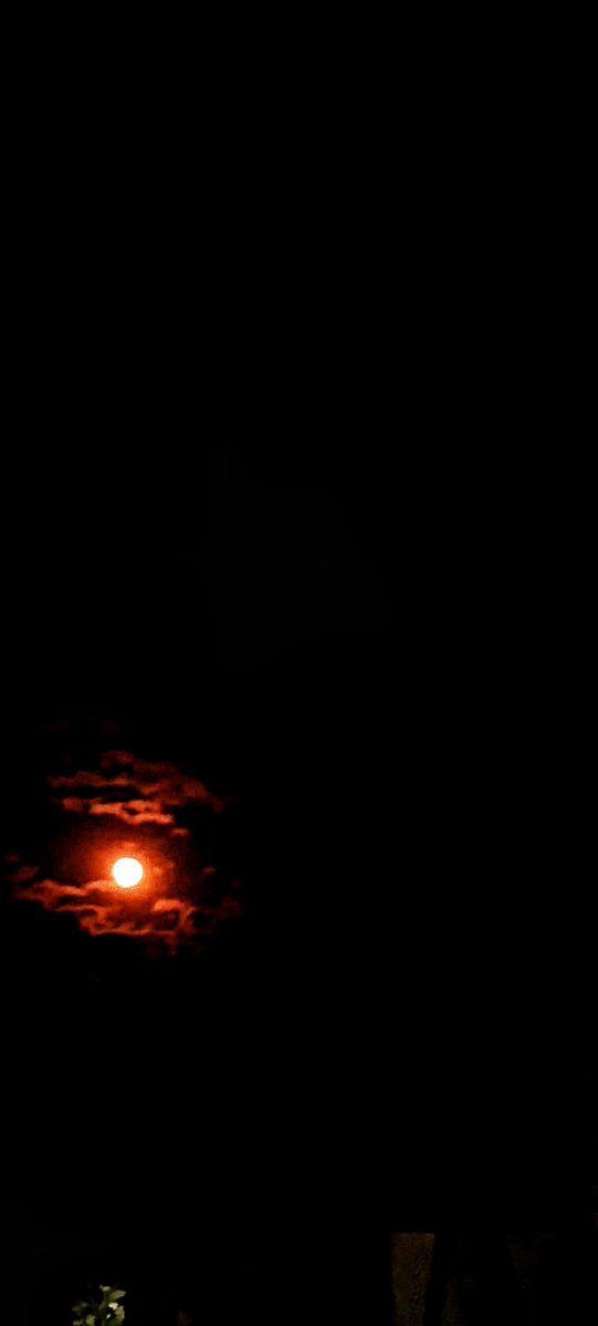 isaacjohnje's tweet photo. #newmoon #night https://t.co/sy1YJGJATH