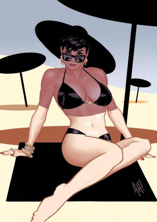 catwomanposts's tweet photo. selina kyle and mary jane watson by adam hughes ⛱️ https://t.co/0iMfx7Bbju