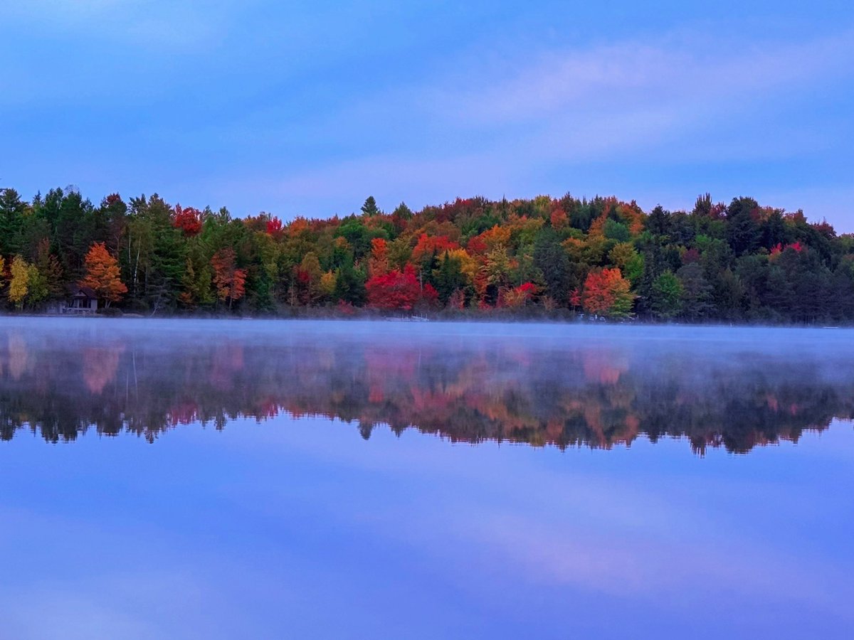 NickRodick's tweet photo. Fun weekend in the Adirondacks. Feat. Nimbus first hike.  Despite Nor’easter to the southeast, managed to get filtered sunshine and beautiful sunsets with high clouds around. 🍂🐾 https://t.co/maukl4FAOl
