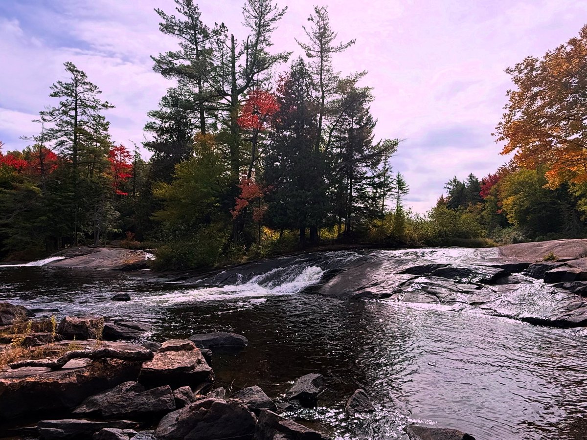 NickRodick's tweet photo. Fun weekend in the Adirondacks. Feat. Nimbus first hike.  Despite Nor’easter to the southeast, managed to get filtered sunshine and beautiful sunsets with high clouds around. 🍂🐾 https://t.co/maukl4FAOl