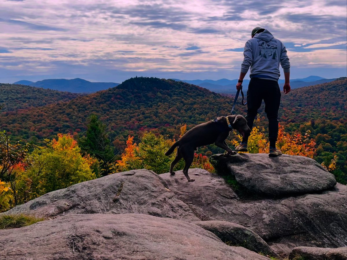 NickRodick's tweet photo. Fun weekend in the Adirondacks. Feat. Nimbus first hike.  Despite Nor’easter to the southeast, managed to get filtered sunshine and beautiful sunsets with high clouds around. 🍂🐾 https://t.co/maukl4FAOl