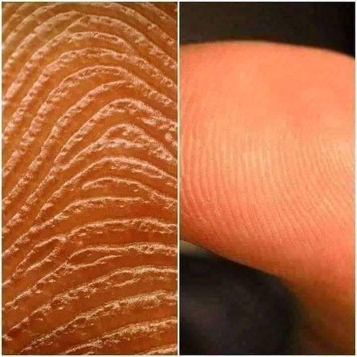 freemonotheist's tweet photo. #NoDesign🙄  the human fingerprint https://t.co/KbcRO0QQ2h