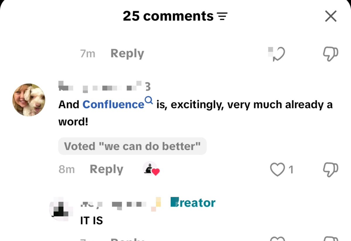 papihuddy's tweet photo. What tf is confluence? https://t.co/n17HUPlD6Q