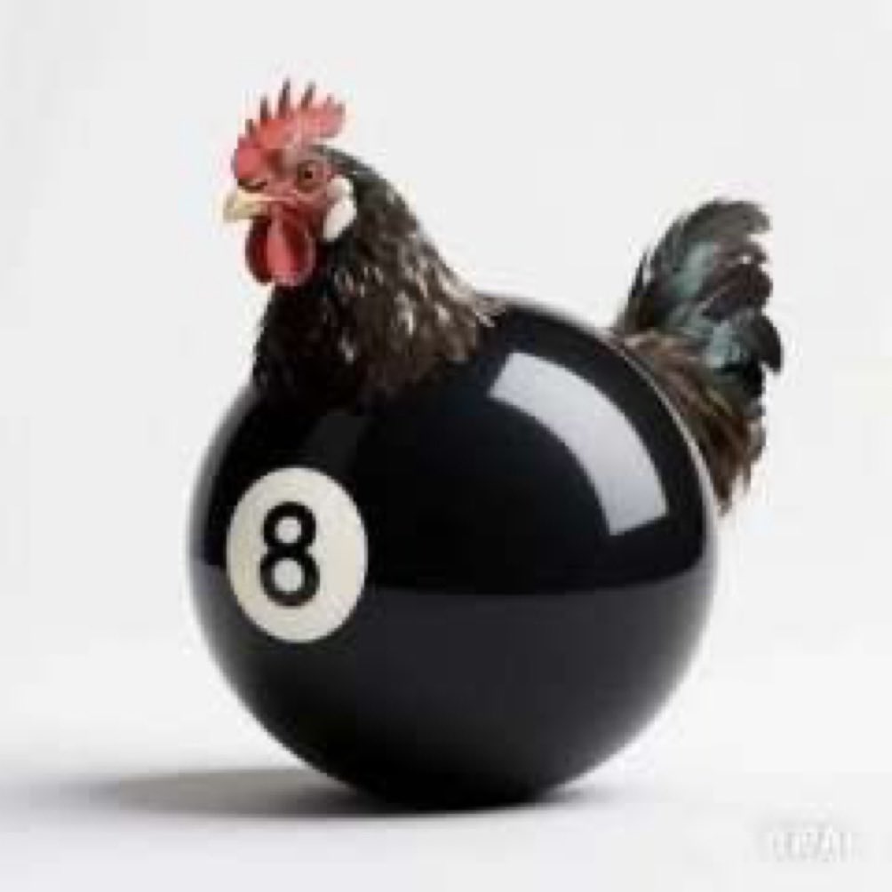 Birdmaster112 tweet picture