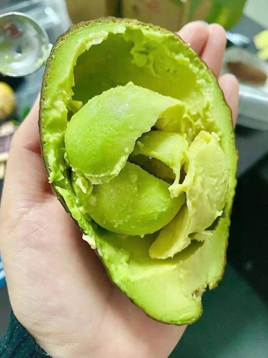 ChaeMurphyxicx's tweet photo. Probé el aguacate ecológico de la zona, tiene textura cremosa y sabor dulce natural 10/10 lo recomiendo para tu ensalada! https://t.co/Uaf9YHAIbT