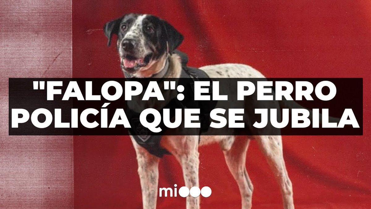 mauriakme's tweet photo. @fabipa90 Ahora lo reprimen todos los miércoles https://t.co/3ZekzEj5SE