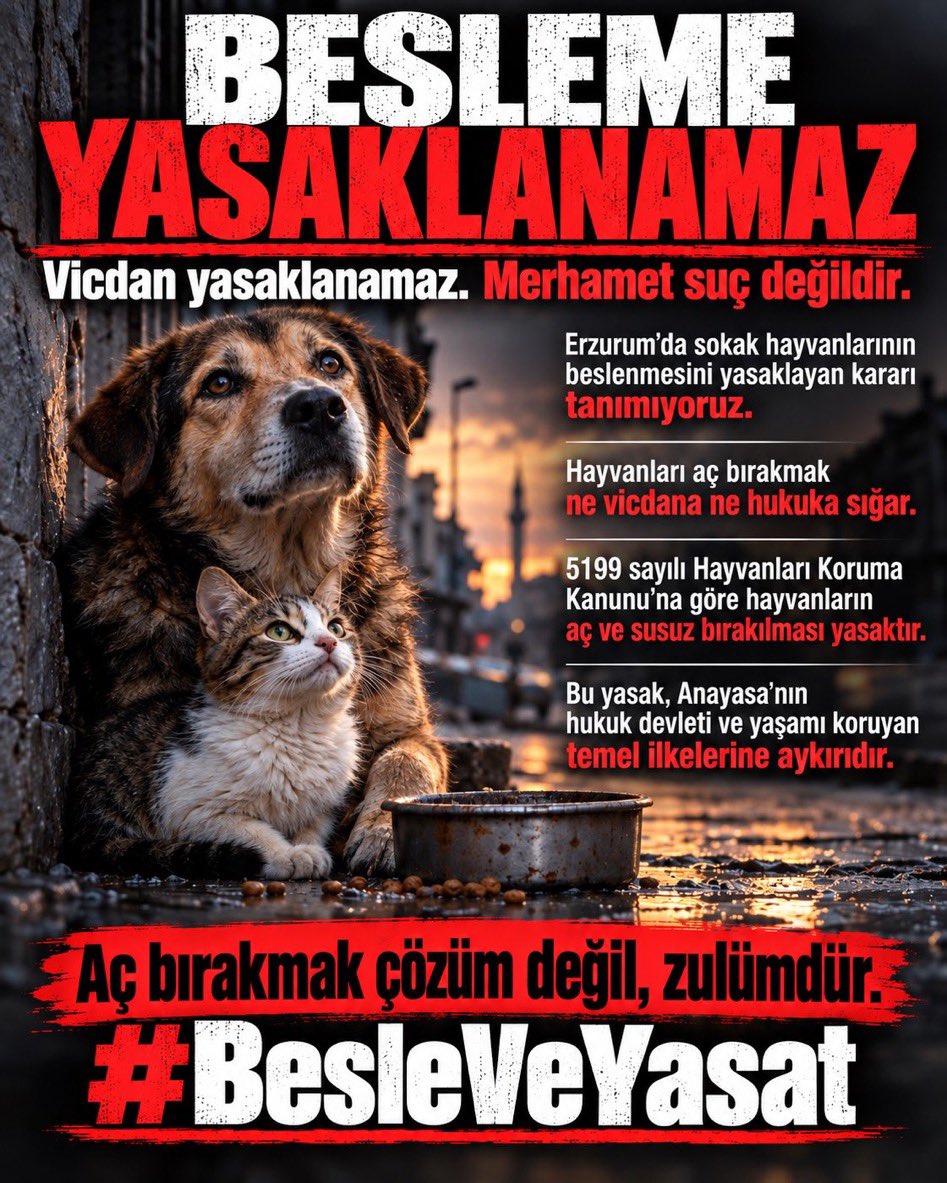 Mustafa329266's tweet photo. BESLEME YASAKLANAMAZ 

#BesleVeYaşat
#SokakHayvanlarıSahipsizDeğil https://t.co/eXDUO8VKjF
