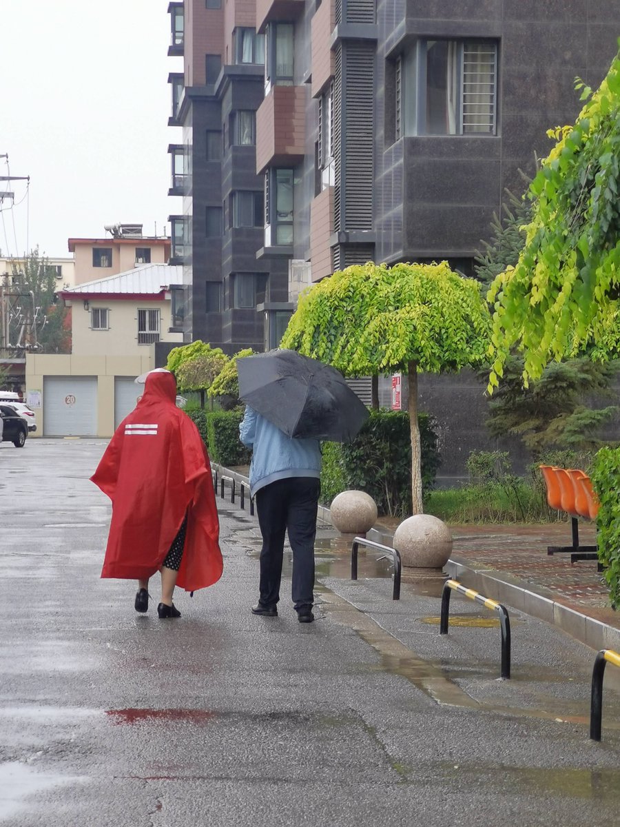Trumanagn's tweet photo. Un seor me ayudó a cargar las bolsas hasta mi piso hoy, no esperaba este detalle tan cálido en un día gris  #PequeasAlegrías， https://t.co/CUn6kqOGW7