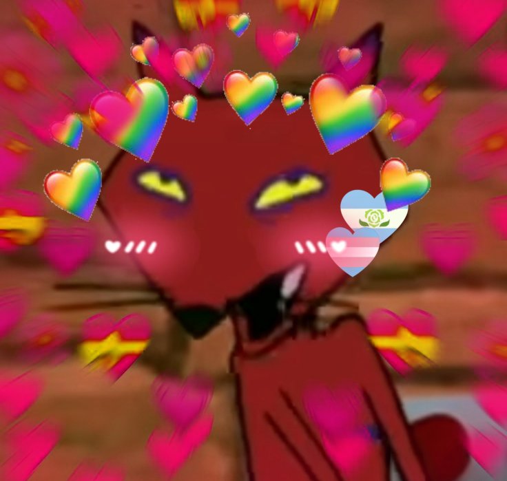 Slightkun's tweet photo. When he's achillian transgender 🥺💖 https://t.co/q2rEySWf8r