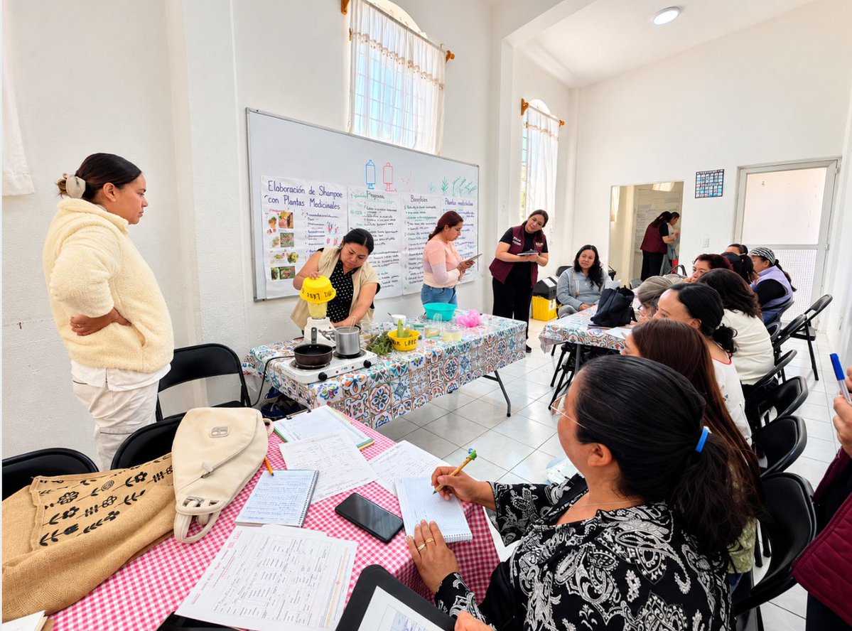 ICAMEXoficial's tweet photo. En el Centro Libre para las Mujeres de #Temascalcingo, se realizó una capacitación sobre la elaboración de shampoo sólido con plantas medicinales, acercando a las participantes al conocimiento y aprovechamiento de alternativas naturales.
#ElPoderDeServir #CapacitaciónICAMEX https://t.co/kZrS2R0eVt