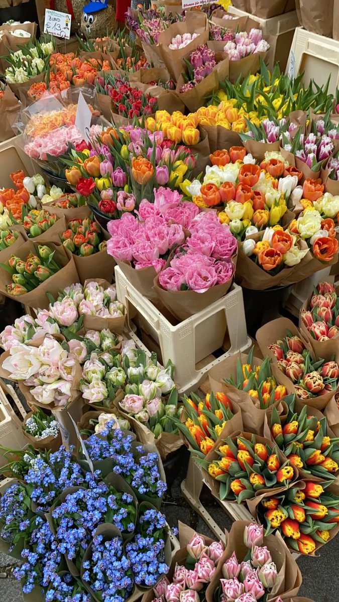 FLOWERS3700's tweet photo. https://t.co/Q4RJKDglil
