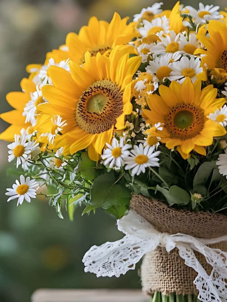 FLOWERS3700's tweet photo. https://t.co/JV0pLGzKdz