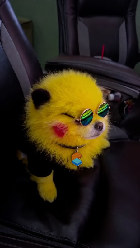 Zaza_Pikachu's tweet photo. @dutchdecrypto i couldn't agree me https://t.co/7UzaSvHXyV