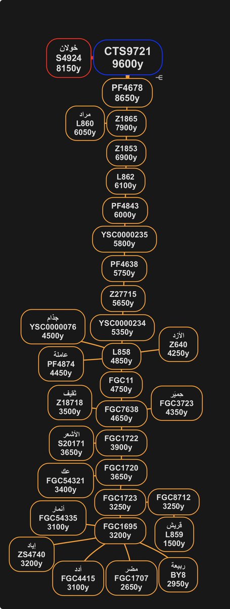 FGC31321's tweet photo. كل المعلومات من Family tree 🧬 https://t.co/kaPXZfnuMu
