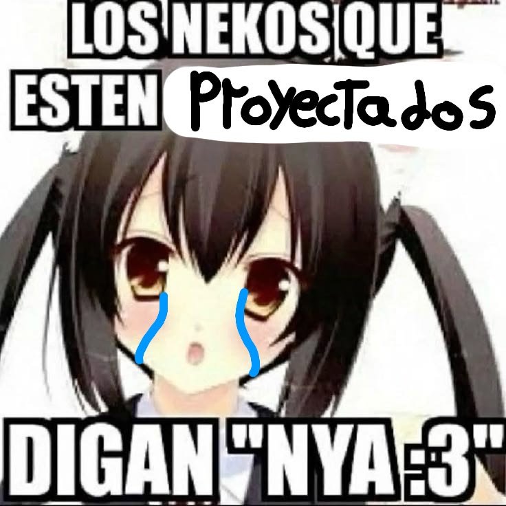 prepuccina's tweet photo. nya :3 https://t.co/0oyipZNviL
