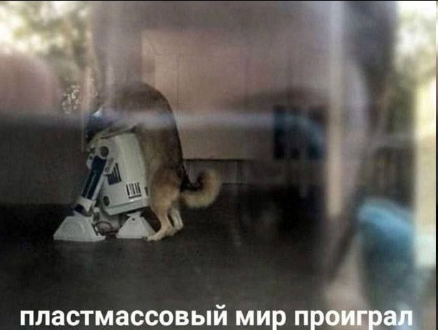 g1lltt's tweet photo. Если проиграл,  то вернется ли Летов из леса? https://t.co/hnTPAPSrSV