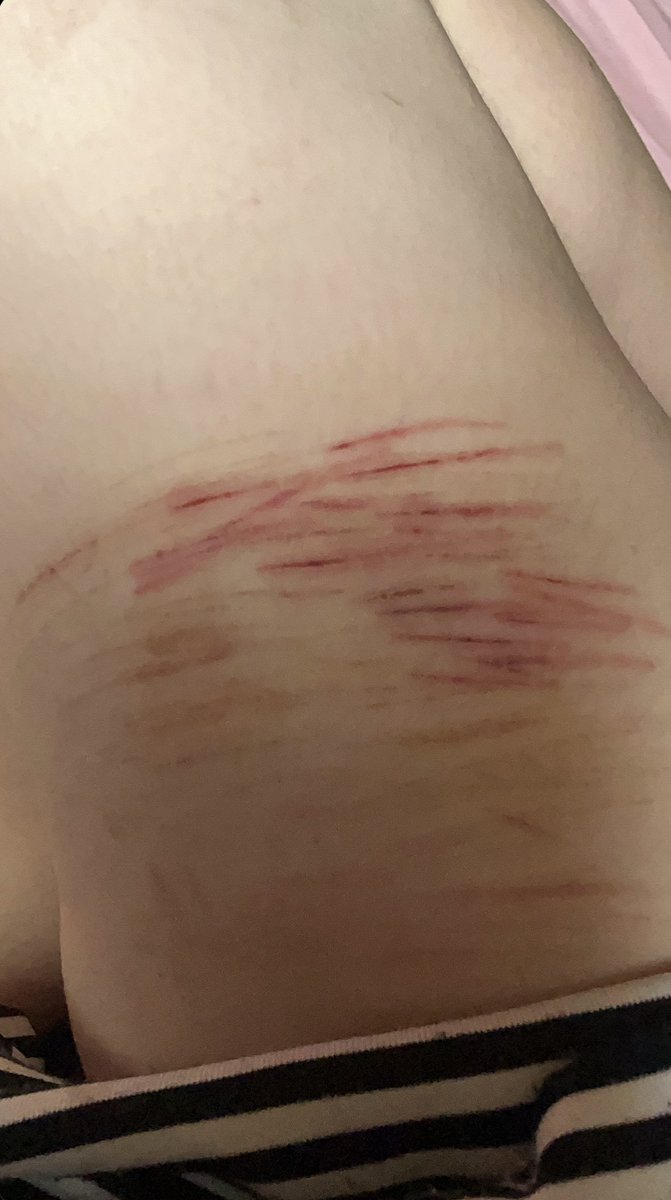 puppidot's tweet photo. SFX MAKEUP FOR HALLOWEEN ADVANCED WITH AI FOR VISUALS. FAKE MAKEUP. 

#sharm #cutspo #ouchietwt #shedtwt https://t.co/gXUTysZE1H