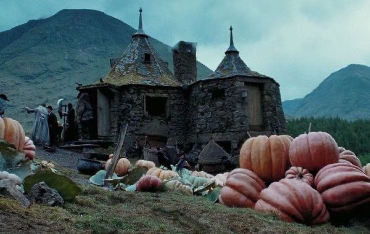 EiProfeta's tweet photo. Otoño en Hogwarts. https://t.co/OijKFfrtmz