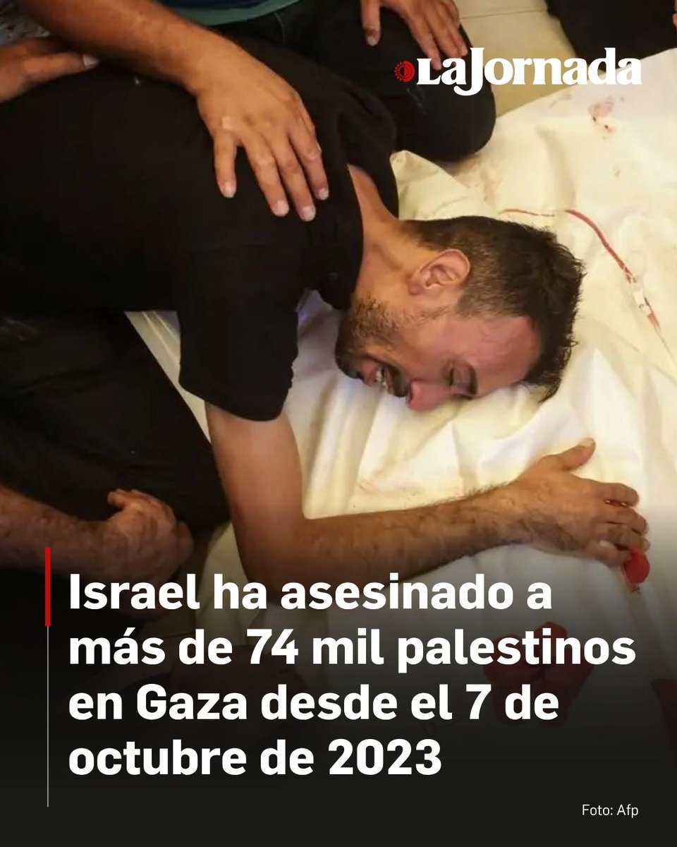 lajornadaonline's tweet photo. 🇵🇸 El Ministerio de Salud de Gaza informó el sábado que la cifra de muertos palestinos aumentó a 74 mil 016 personas, con 175 mil 068 heridos. La ofensiva de Israel estalló el 7 de octubre de 2023, cuando milicianos de Hamás mataron a unas mil 200 personas, en su mayoría civiles, y tomaron a otras 251 como rehenes.

Desde el alto el fuego, que entró en vigor el 10 de octubre pasado, mil 145 palestinos han muerto, indicó el ministerio, que forma parte del gobierno encabezado por Hamás. Mantiene registros detallados que, en general, son considerados fiables por agencias de la ONU y organizaciones internacionales. No distingue entre civiles y combatientes.

Lee más aquí 👇
https://t.co/GtJl8YwmEy