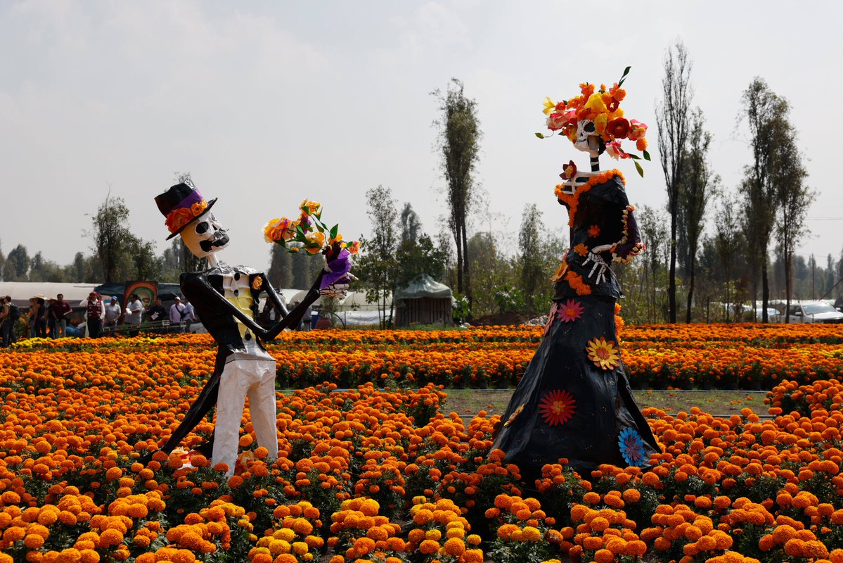 DivinaFecy's tweet photo. Feliz Día de Muertos! Un abrazo a los seres queridos que ya no están, sus recuerdos siguen con nosotros siempre. https://t.co/f3TI7TjRgi