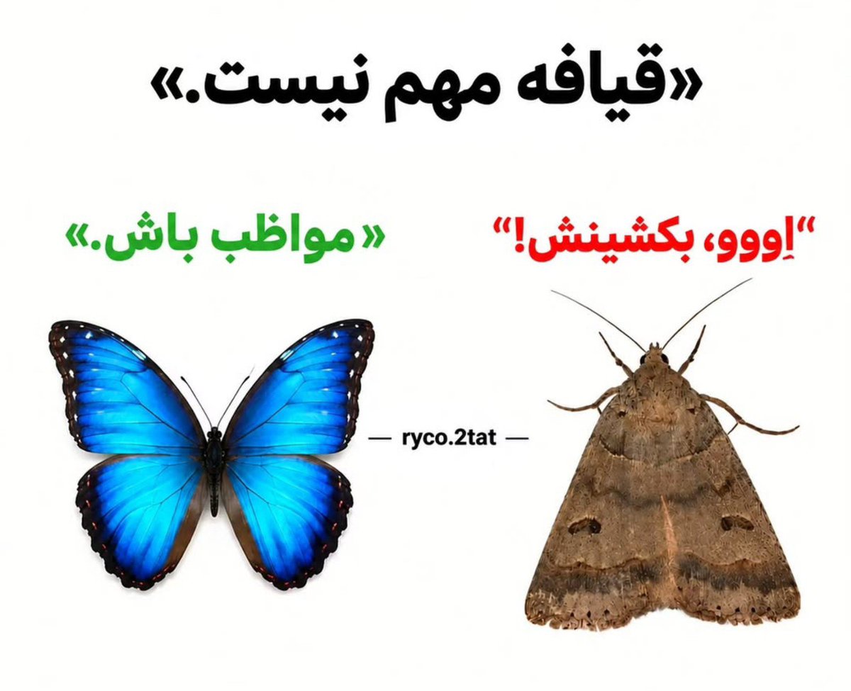 isnotme_11's tweet photo. حقیقت: https://t.co/EfVMqzuTo1