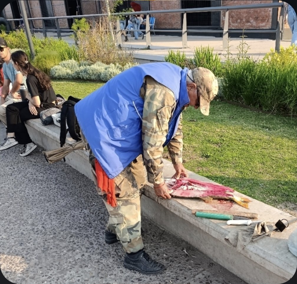 TraductorTeAma's tweet photo. Un ciruja pescó un dorado joven en el Parque España de Rosario y otro ciruja lo fileteó en el banco donde se sienta la gente normal. En teoría está prohibido pescar ahí.
Además de que es una especie protegida. 

La pesca no deportiva del Dorado (Salminus brasiliensis) está prohibida en la provincia de Santa Fe (Ley Provincial N.º 12.722) declara al dorado como Pez Turístico Provincial.