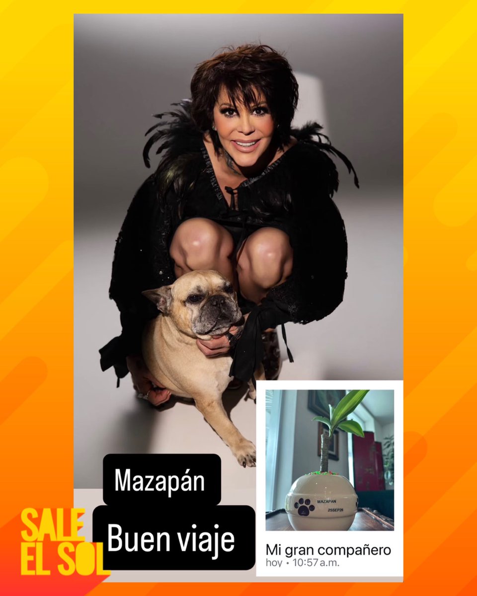saleelsoltv's tweet photo. ¡Alejandra Guzmán compartió con sus seguidores la dolorosa partida de su mascota, Mazapán! 🙌🏻😢🐶🕊️☀️📺 #SaleElSol #SESAlMomento https://t.co/9FcuV8oqMX