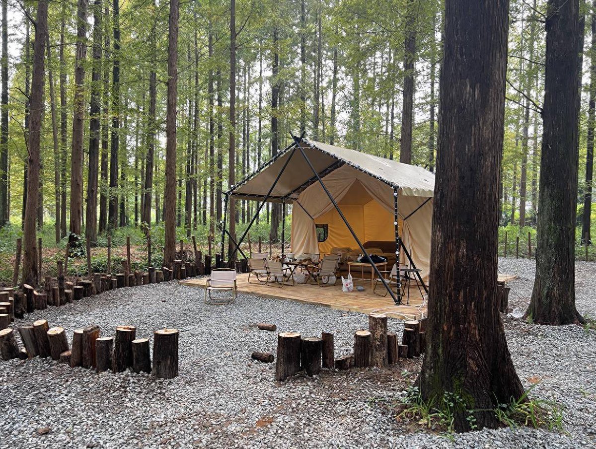 SherrilBeyett's tweet photo. Woke up to crisp mountain air, sun filtering through pine trees, and the soft gurgle of a nearby stream—this is why I’d trade city alarms for tent wake-ups every single time. https://t.co/BUQOSdCJtx